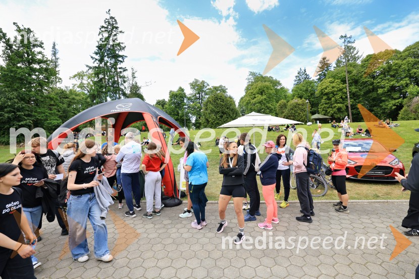 43. Maraton Treh src