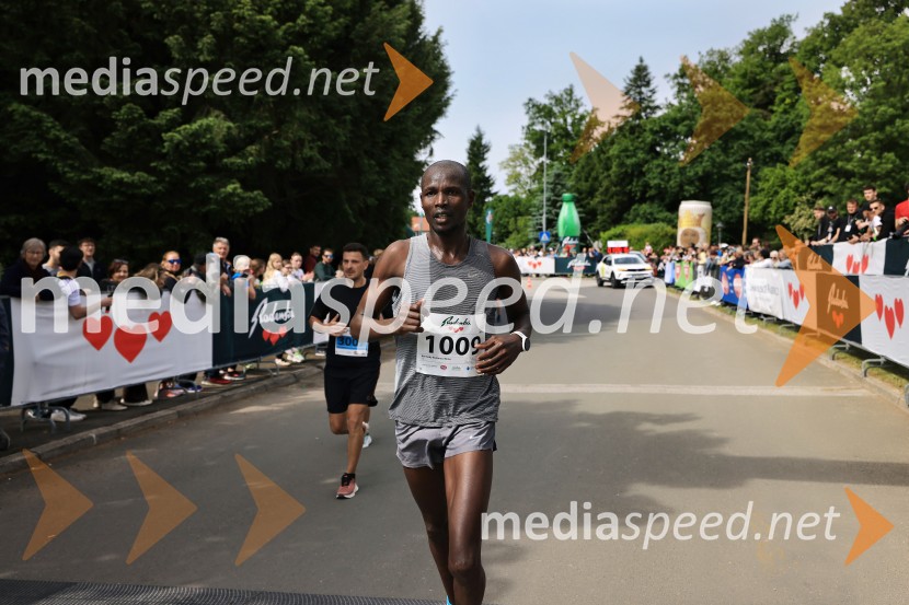 43. Maraton Treh src - tek