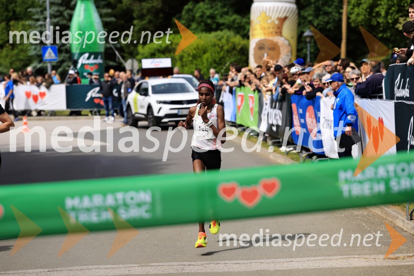 43. Maraton Treh src - tek