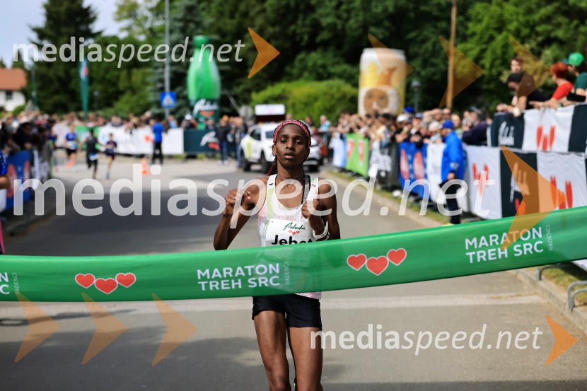 43. Maraton Treh src - tek