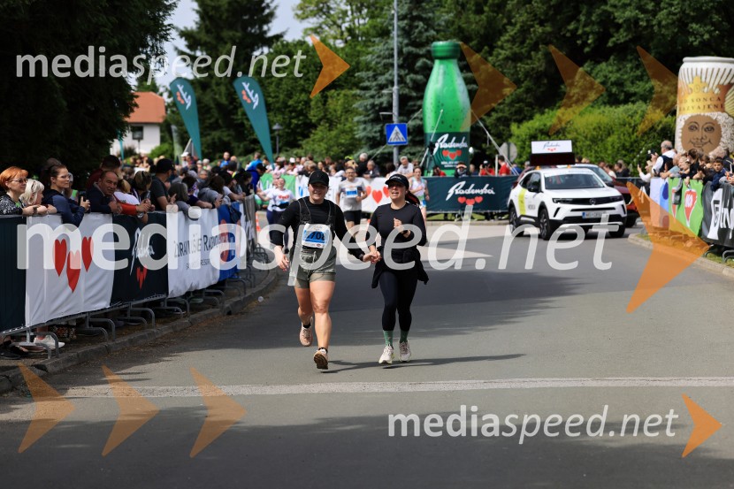 43. Maraton Treh src - tek