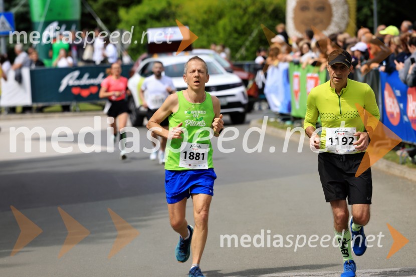 43. Maraton Treh src - tek