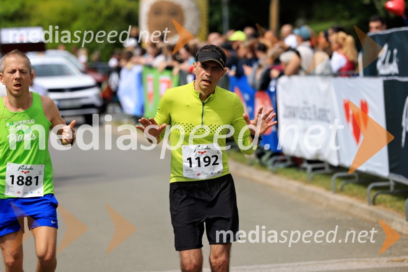 43. Maraton Treh src - tek