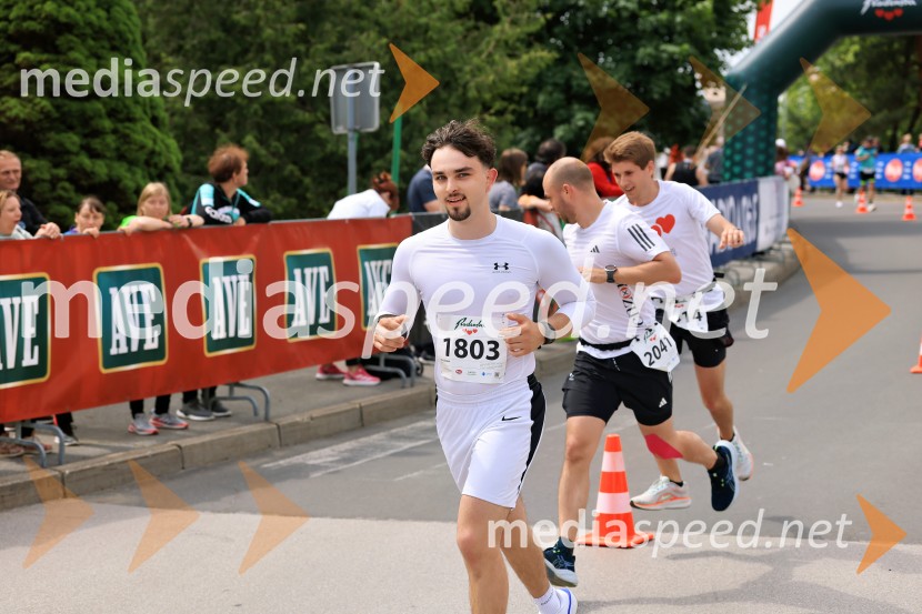 43. Maraton Treh src - tek