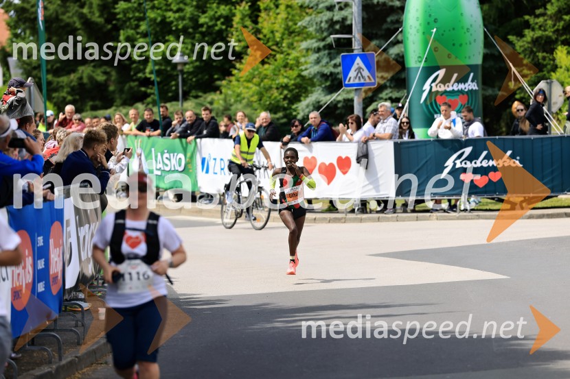 43. Maraton Treh src - tek