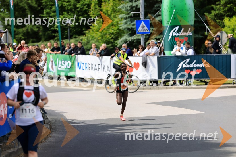 43. Maraton Treh src - tek