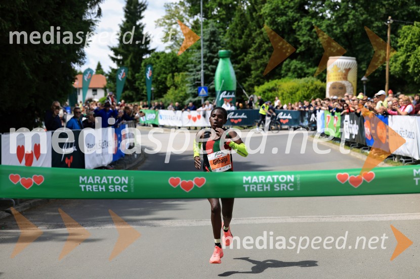 43. Maraton Treh src - tek