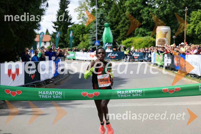 43. Maraton Treh src - tek