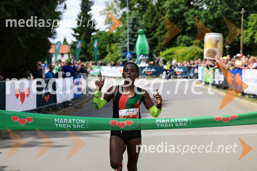 43. Maraton Treh src - tek