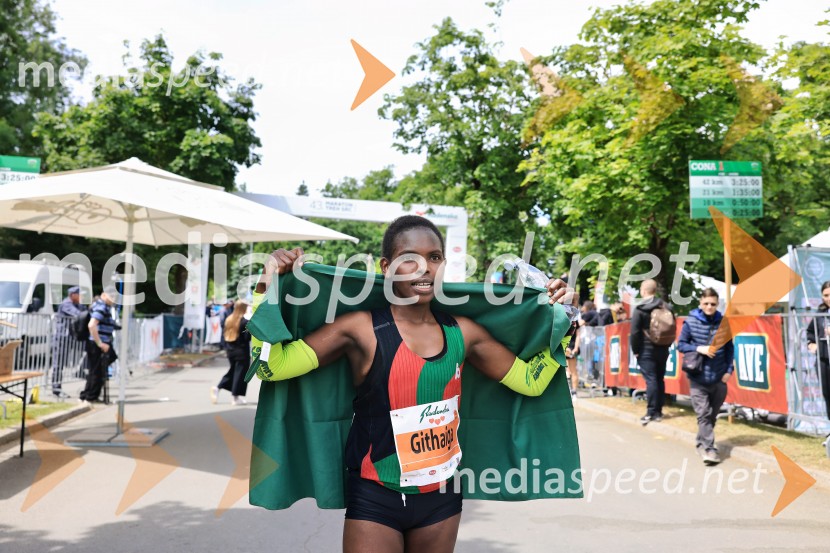 43. Maraton Treh src - tek