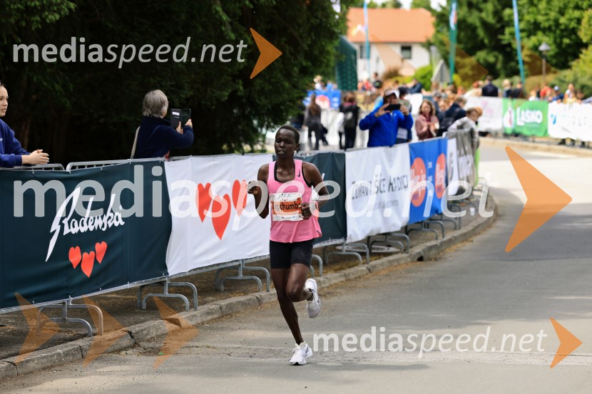 43. Maraton Treh src - tek