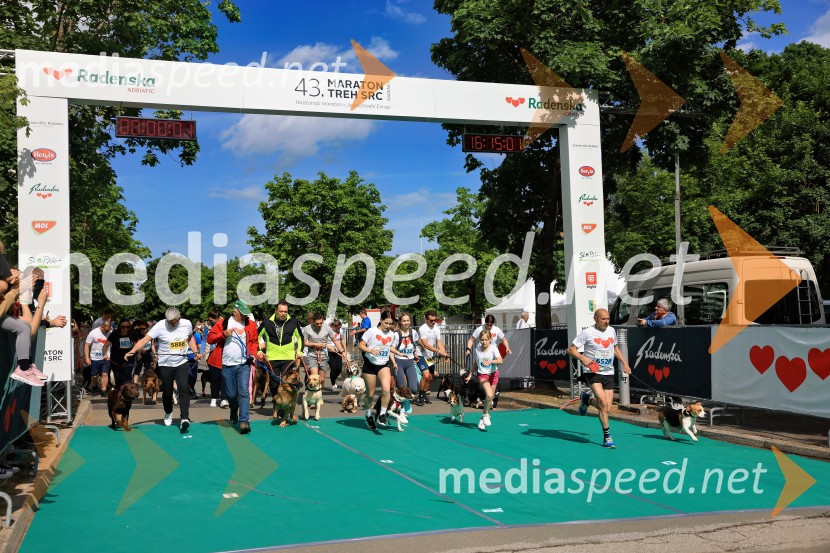 43. Maraton Treh src - tek