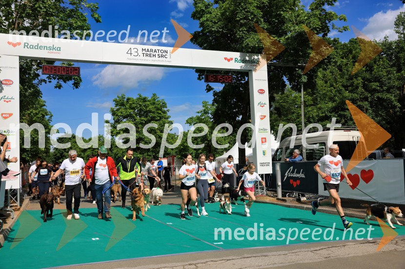43. Maraton Treh src - tek