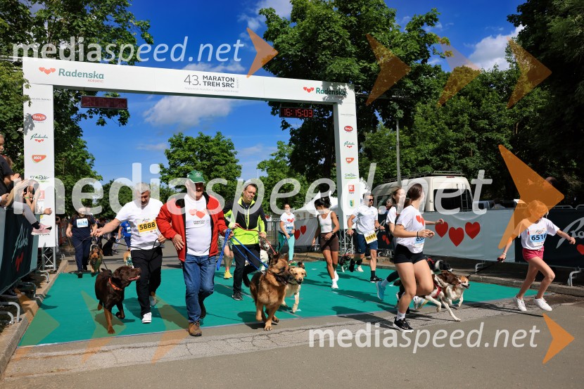 43. Maraton Treh src - tek