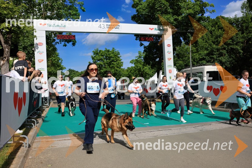 43. Maraton Treh src - tek