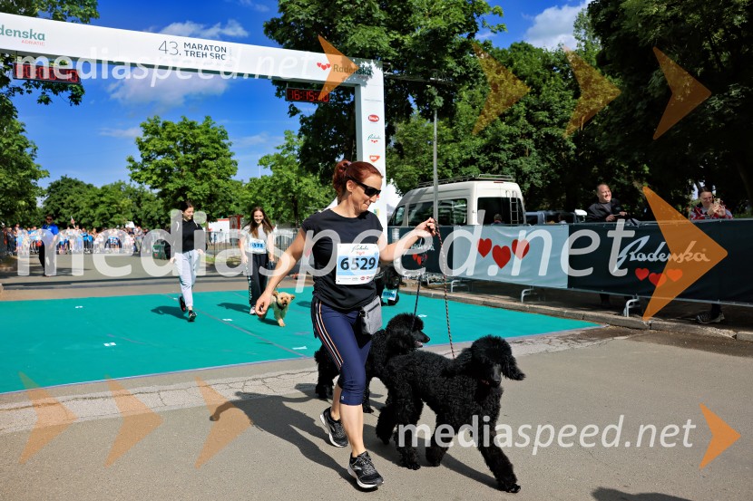 43. Maraton Treh src - tek