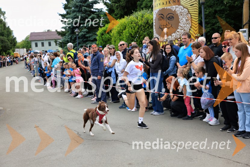 43. Maraton Treh src - tek