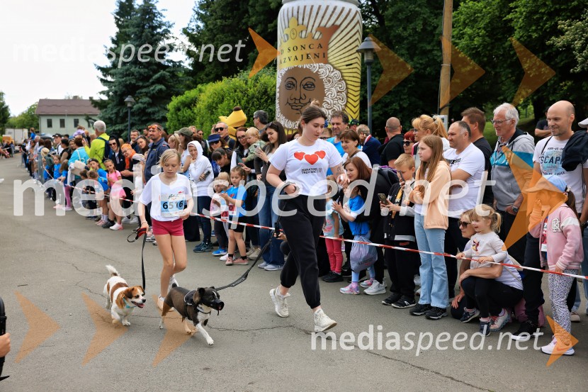 43. Maraton Treh src - tek