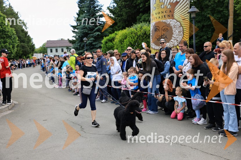 43. Maraton Treh src - tek