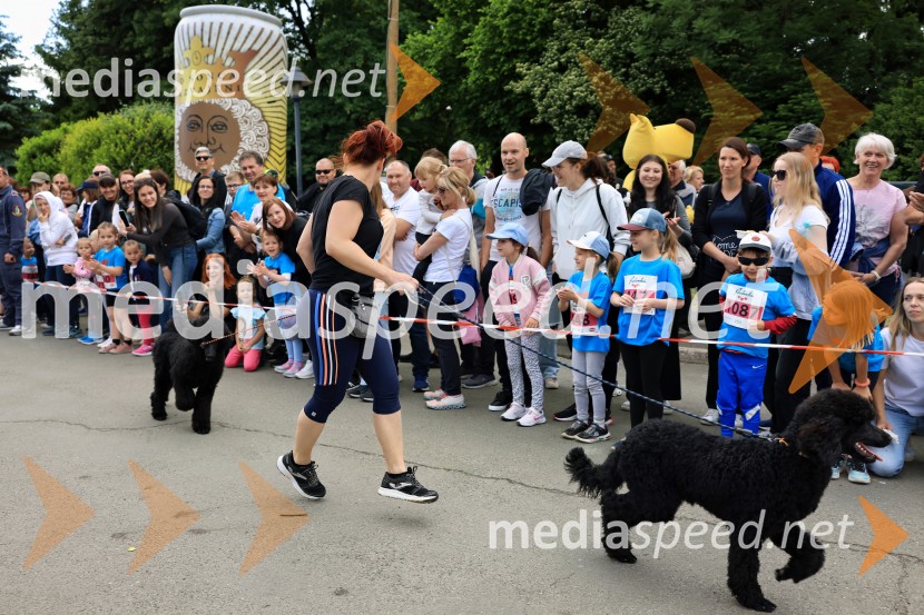 43. Maraton Treh src - tek