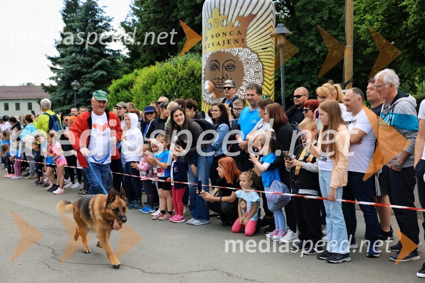 43. Maraton Treh src - tek