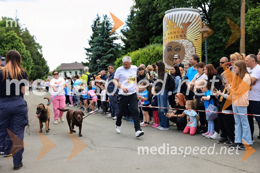 43. Maraton Treh src - tek