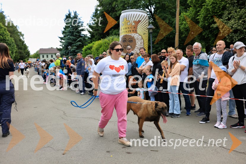 43. Maraton Treh src - tek