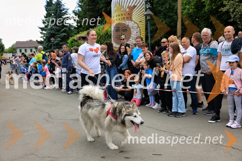 43. Maraton Treh src - tek