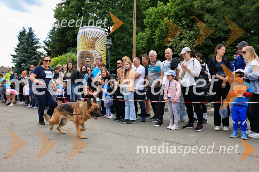 43. Maraton Treh src - tek