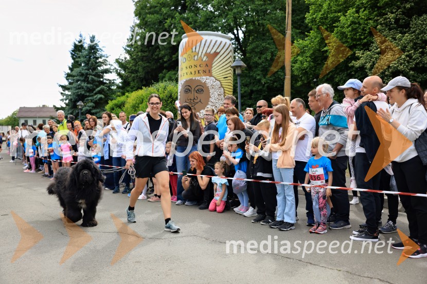 43. Maraton Treh src - tek