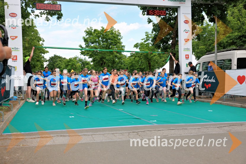 43. Maraton Treh src - tek