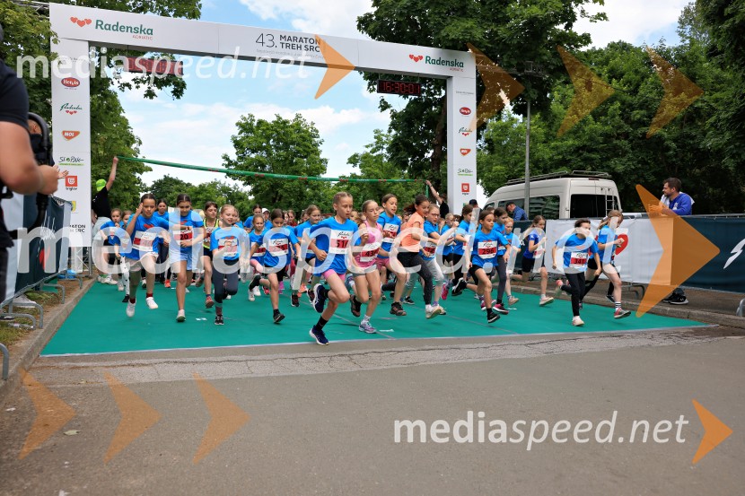 43. Maraton Treh src - tek