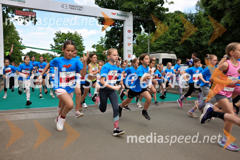 43. Maraton Treh src - tek