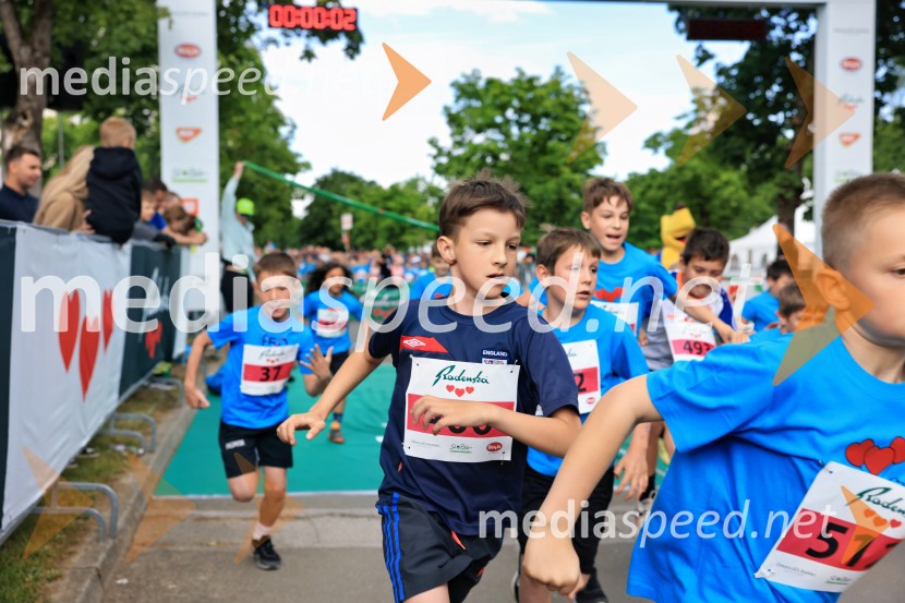 43. Maraton Treh src - tek