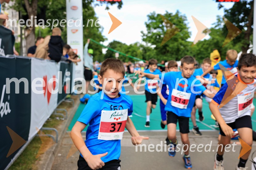 43. Maraton Treh src - tek