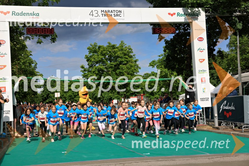43. Maraton Treh src - tek