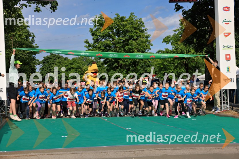 43. Maraton Treh src - tek