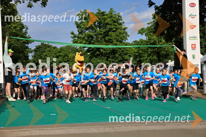 43. Maraton Treh src - tek