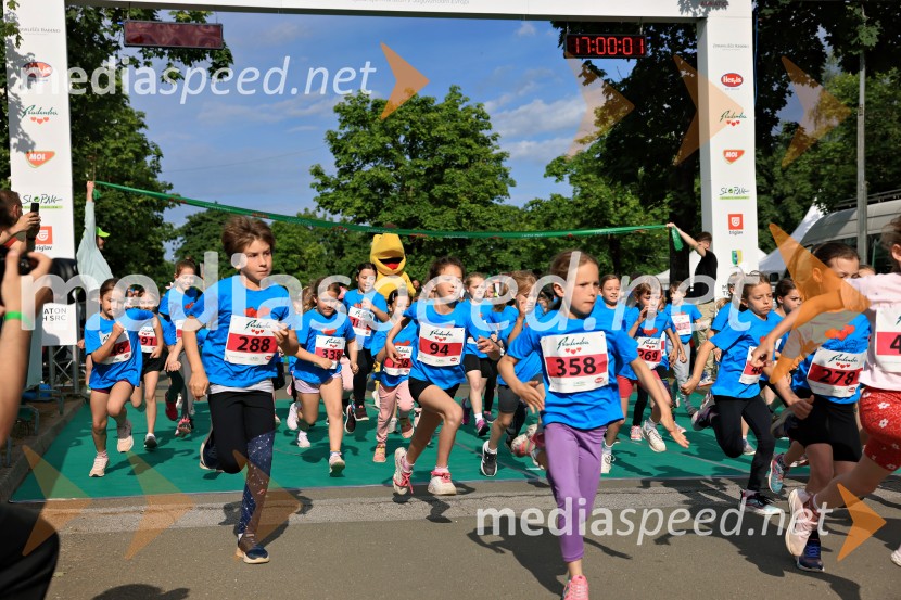 43. Maraton Treh src - tek