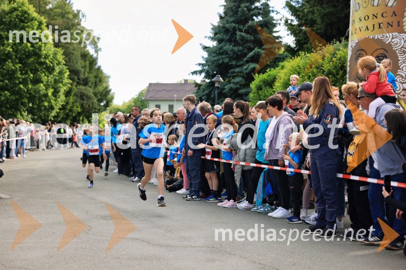 43. Maraton Treh src - tek