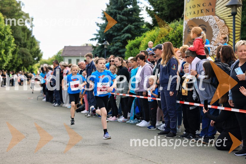 43. Maraton Treh src - tek