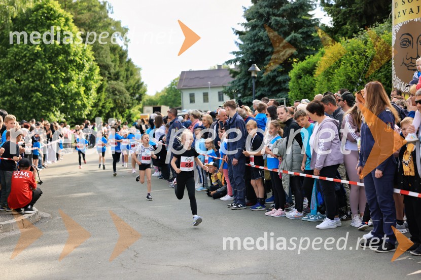 43. Maraton Treh src - tek