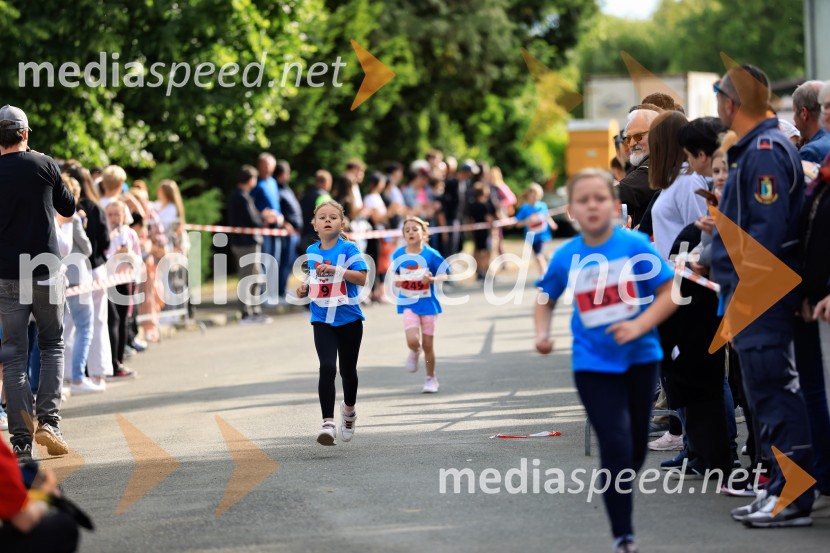 43. Maraton Treh src - tek