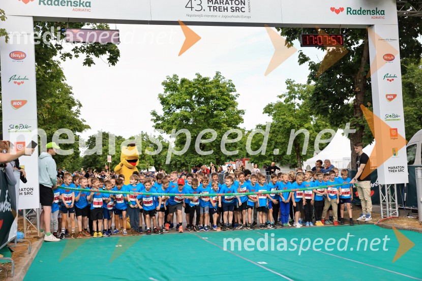 43. Maraton Treh src - tek