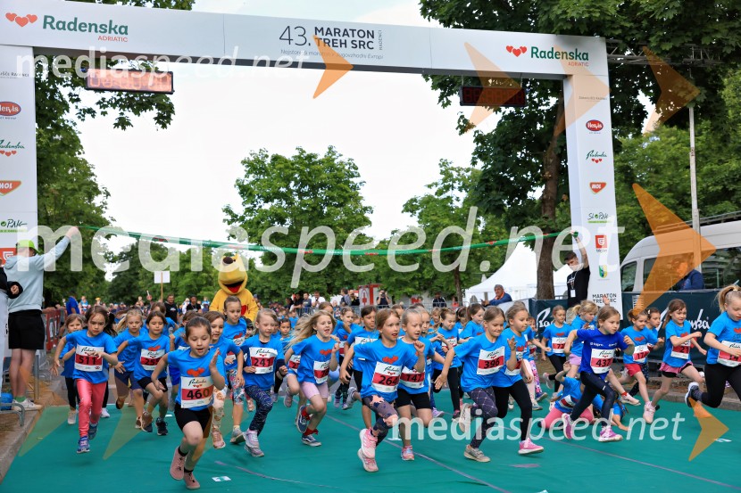 43. Maraton Treh src - tek