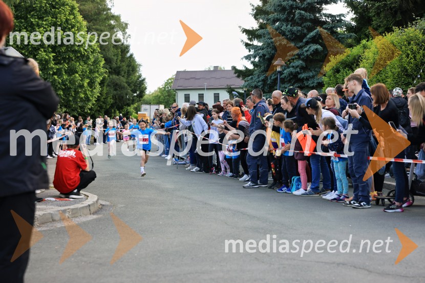 43. Maraton Treh src - tek