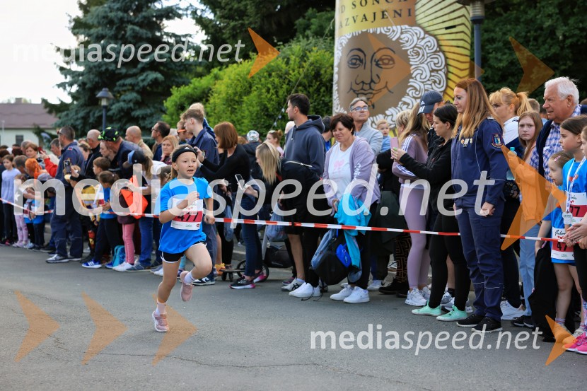 43. Maraton Treh src - tek