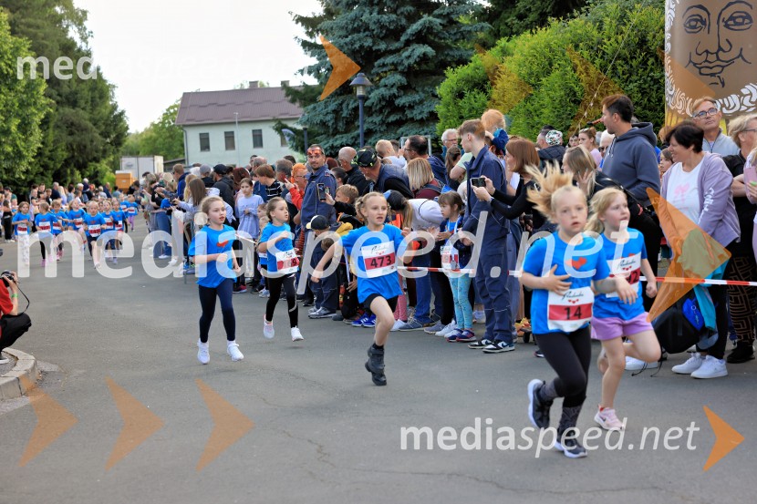 43. Maraton Treh src - tek