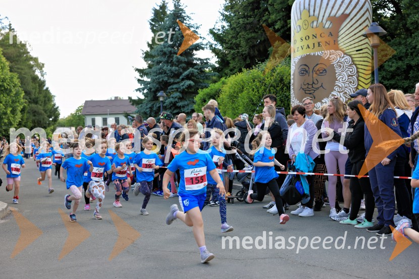 43. Maraton Treh src - tek