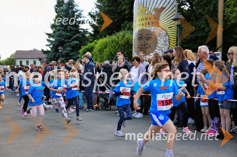 43. Maraton Treh src - tek